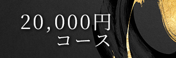 20,000円コース